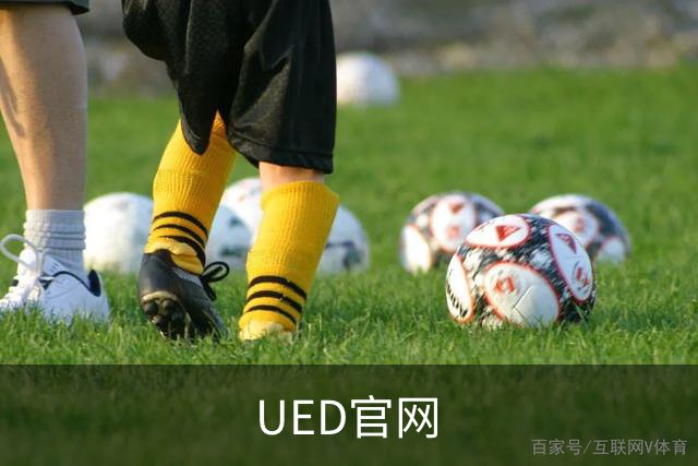 UED官网公司简介